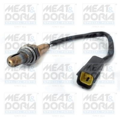 Oxygen Sensor